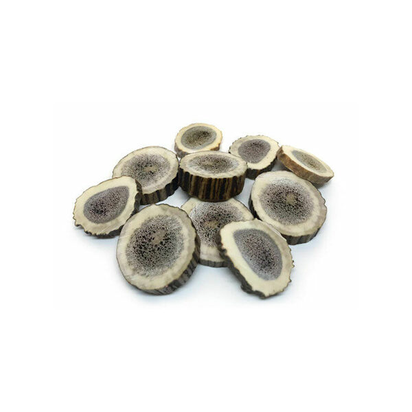 Dabīgie brieža ragi sagriezti suņiem S 3 gab.