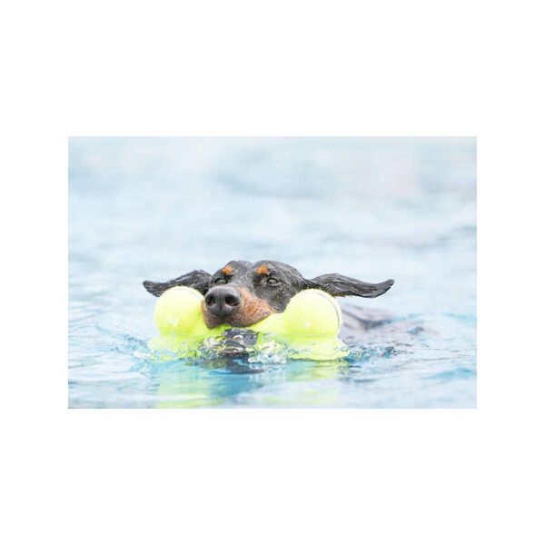 KONG AIR SQUEAKER BONE Large rotaļlieta kauliņs lieliem suņiem