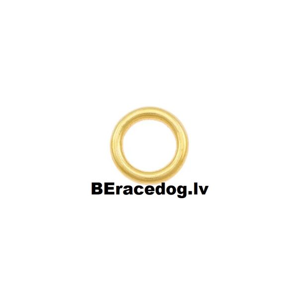 O riņķis 16 mm komplekts Brass Sand Casting