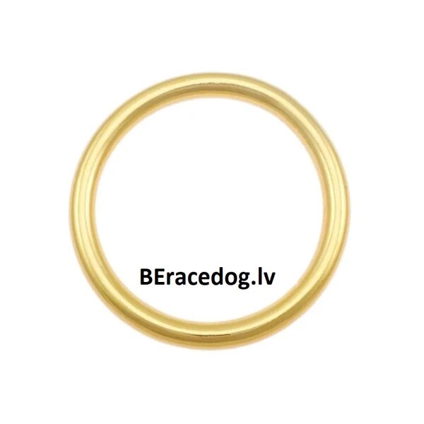 O riņķis 50 mm komplekts Brass Sand Casting