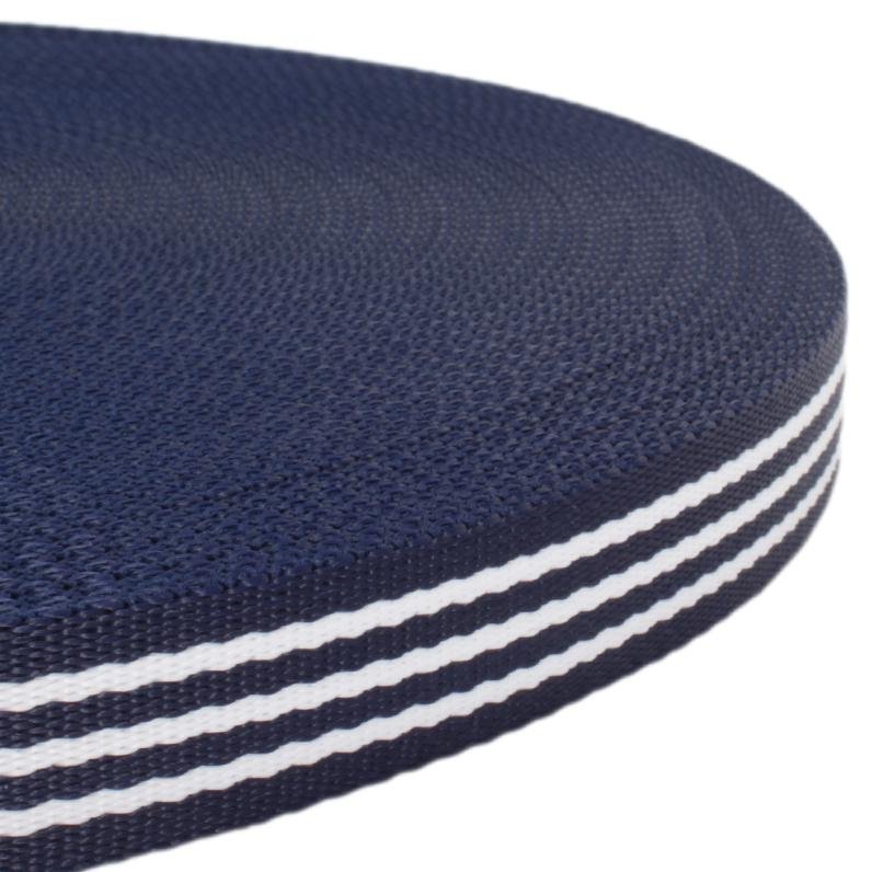 Weave Webbing Stripes Blue 25 mm