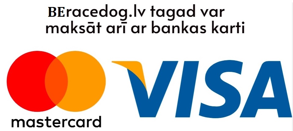 visa_kartes.jpg